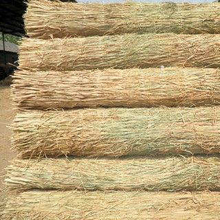 草簾子 ，草包 草繩上海地區(qū)降溫，雨雪天氣注意植物防寒抗凍，