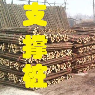 杉木樁|杉木綠化桿，上海1.5米/2米/3米杉木樁